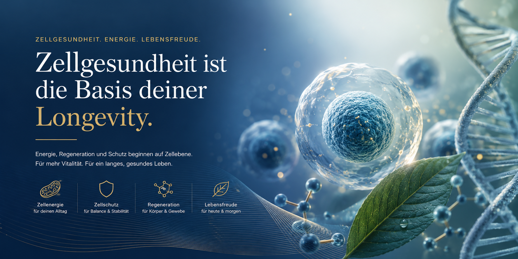 Zellgesundheit ist die Basis deiner Longevity – Zellenergie, Zellschutz, Regeneration und Lebensfreude